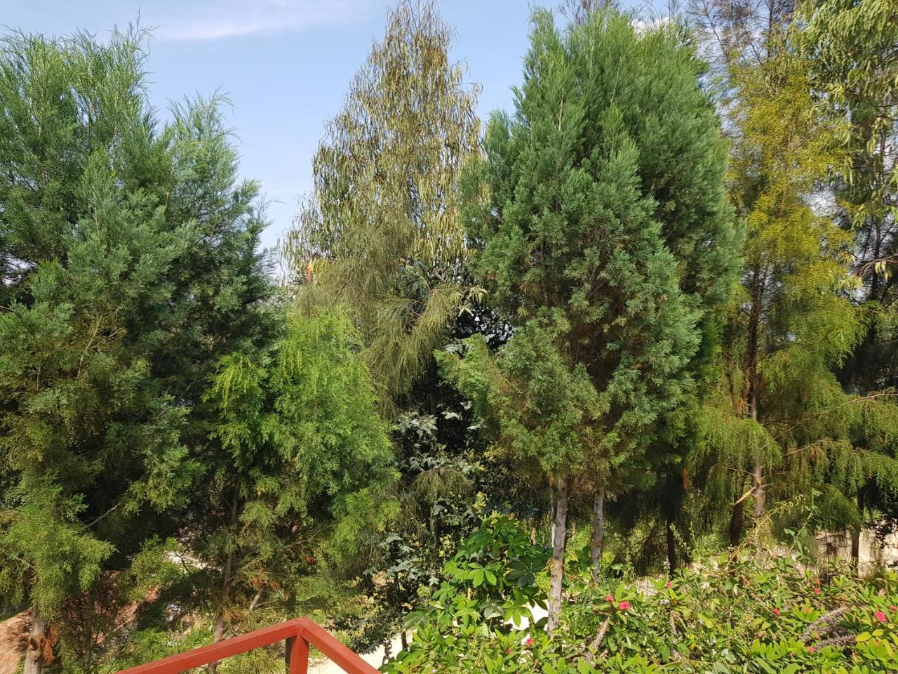 Rebero Kivu Resort Kibuye Zewnętrze zdjęcie