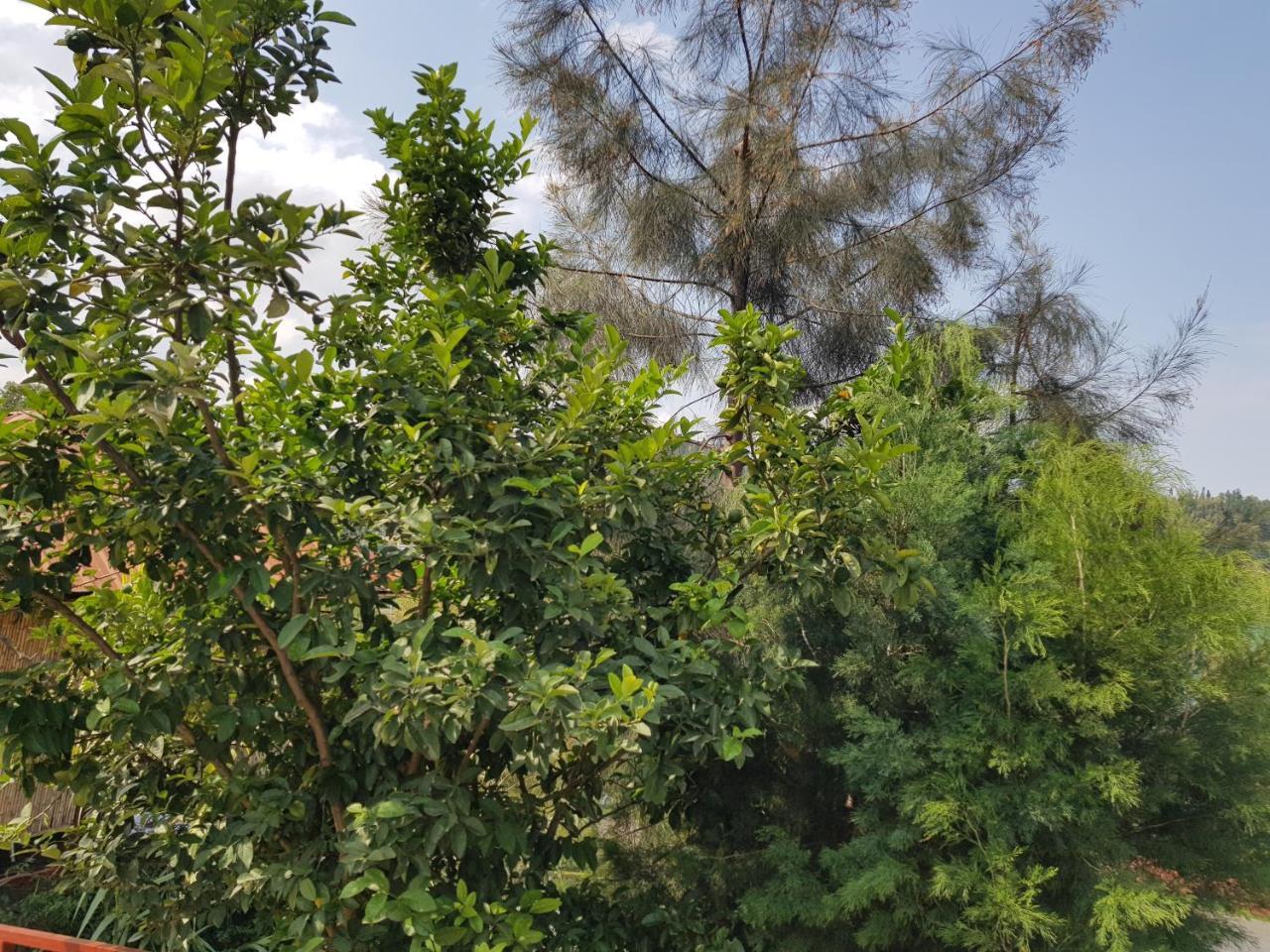 Rebero Kivu Resort Kibuye Zewnętrze zdjęcie